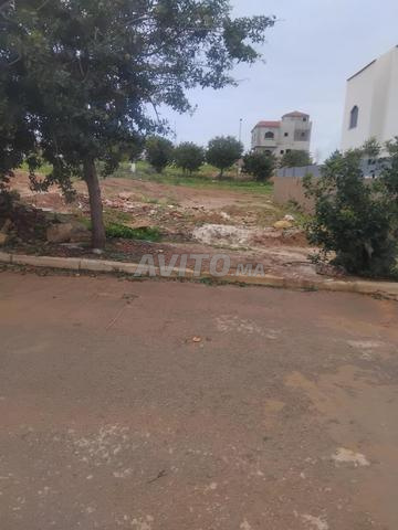 قطعة أرضية للبيع 280متر  لبناء فيلا بمدينة أصيلة