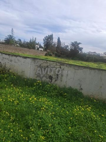 أرض للبيع في السويسي