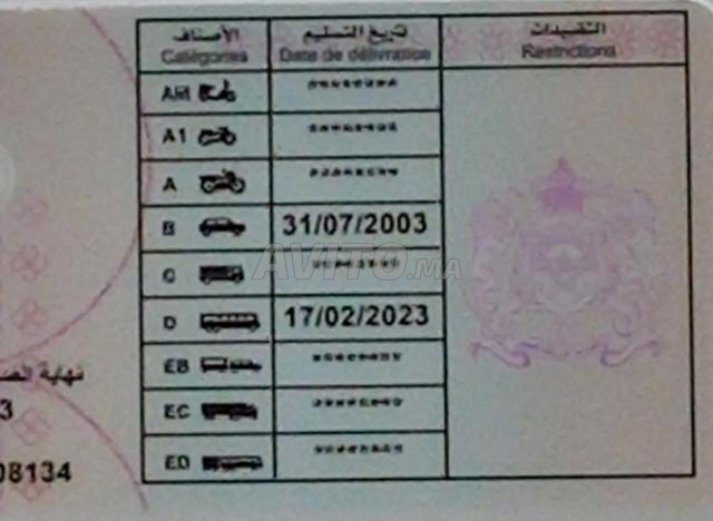 أبحث عن عمل في مجال السياقة