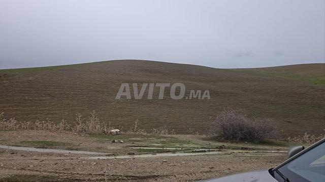 Terrain agricole au bord du barrage Sidi Chahad