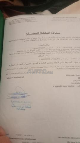 شقة للبيع 53 متر مربع في وجدة