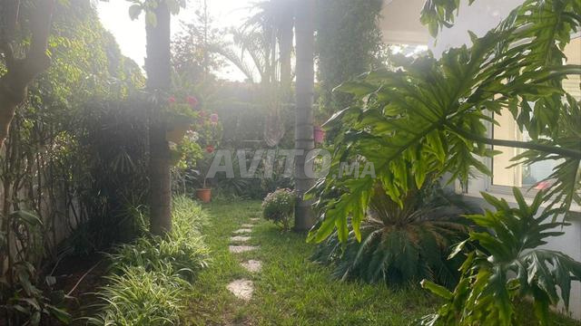 Terrain 2 faces à Californie zone villa