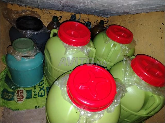 زيت زيتون طبيعي بلدي - جودة مضمونة