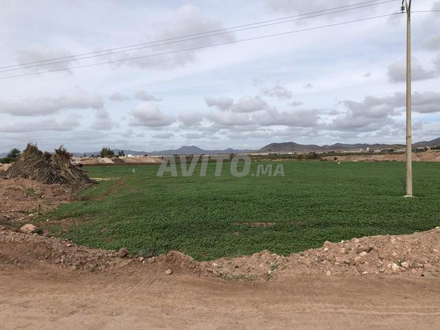 Terrain à vendre aux environs d'Azzouzi à un prix très raisonnable