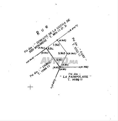 أرض مسجلة محفظة