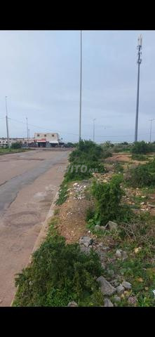 فرصة لا تفوت