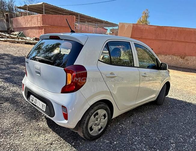 kia picanto