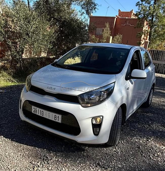kia picanto