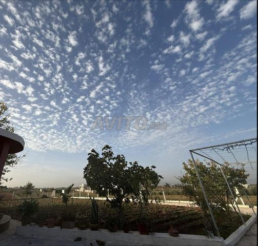 منزل مع قطعة أرض في مزرعة - 2