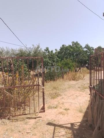 2 خدامة سيدي عبد الرزاق دار بير شجرة على كودرون - 2