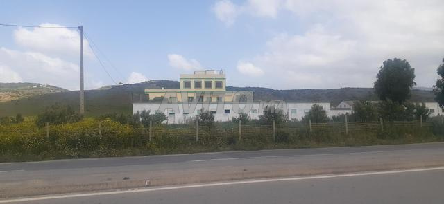 مزرعة 6 هكتارات ذات سند يمكن تملكه بلانكو طريق تطوان