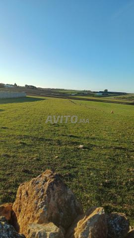 Terrain 5500m à vendre Rte Had Hrara