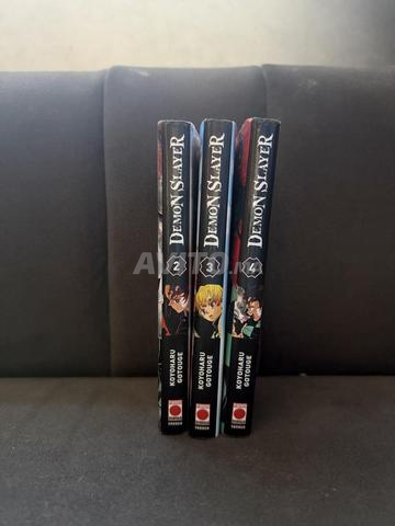 المجلدات 2-3-4 من مانغا قاتل الشياطين - 2