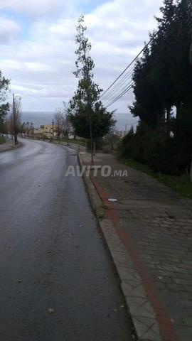 أرض 1000 م2 2 واجهة سانيا تنجاباليا