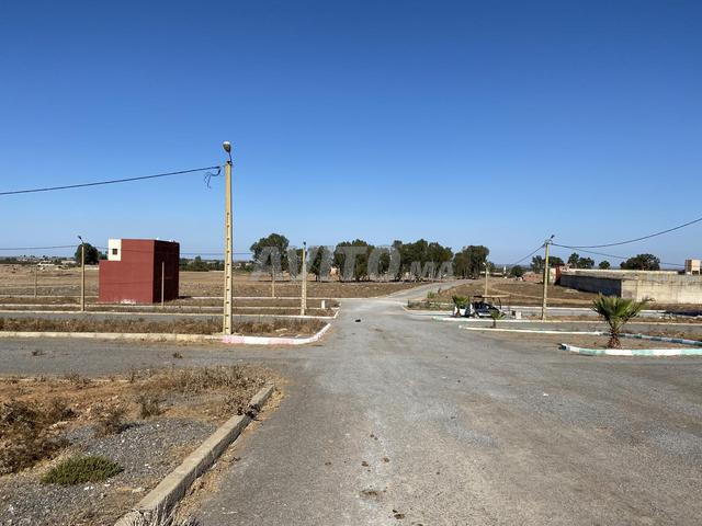 أرض R plus 2 تجزئة حبيبة بنسليمان - 2