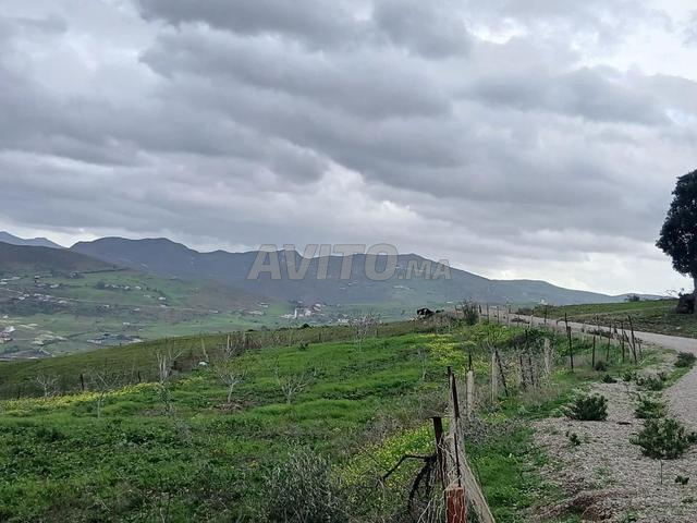 Opportunité d'investissement unique près de Tétouan