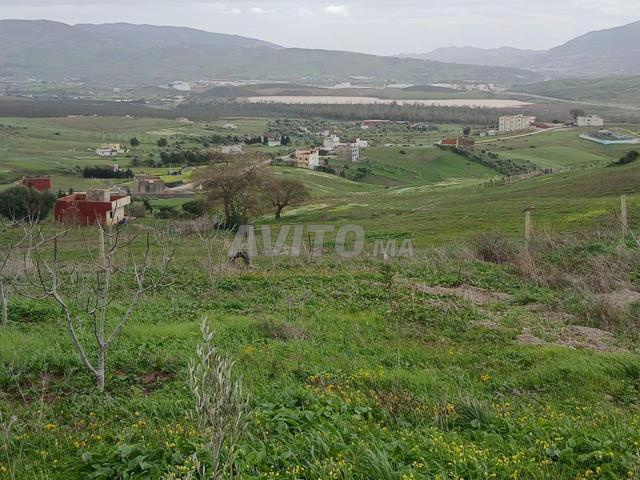 فرصة استثمارية فريدة قرب تطوان - 2