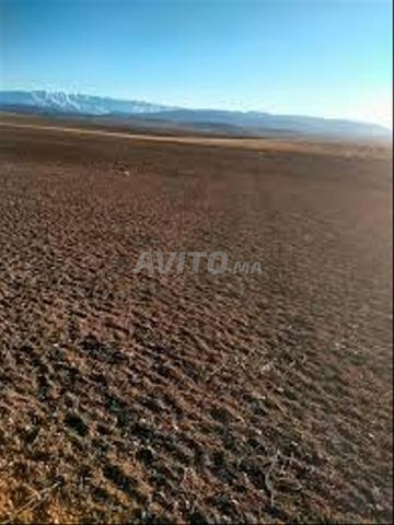 Terrain à vendre à Tata