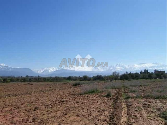 20215-Vente Terrain à Marrakech Route De L'Ourika