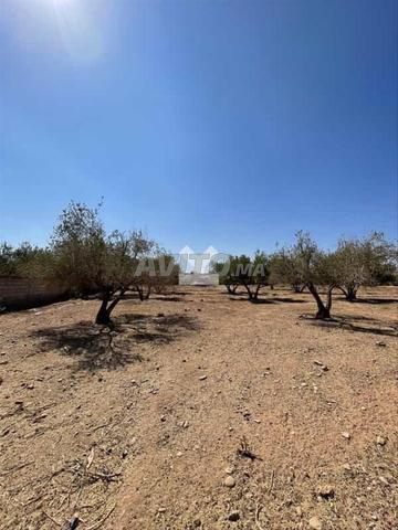 149896-بيع أرض في مراكش طريق أوريكا