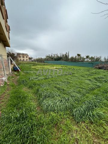 Terrain à vendre titré Aït Hssaine Boudarbala