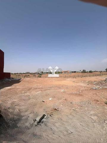 136096-بيع أرض في مراكش دوار الكرن