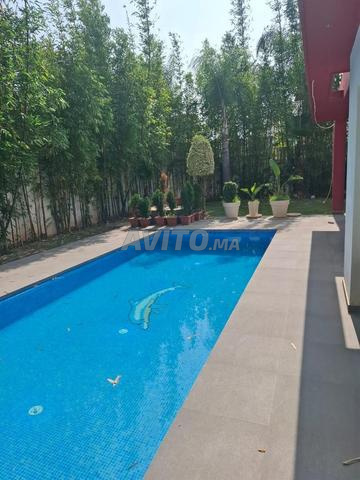 Villa piscine luxe à Bel vue 700 mètres - 2