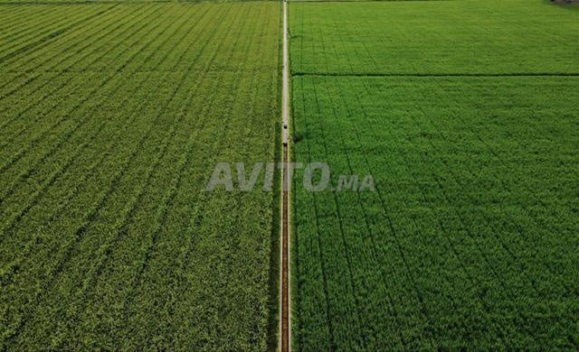 Terrain sur route centre Haj kaddour
