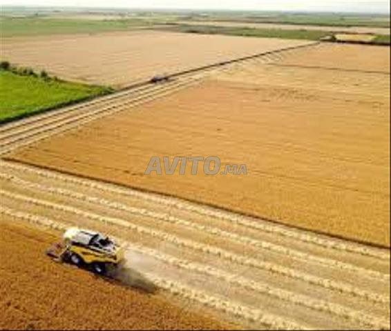 أرض بمساحة 75 هكتار بالقرب من ممر مكنس