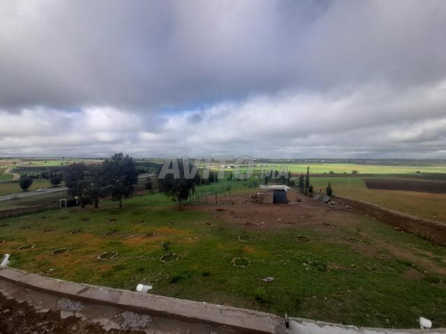 terrain agricole titré clôturé a vendre