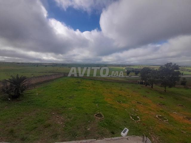 terrain agricole titré clôturé a vendre - 2