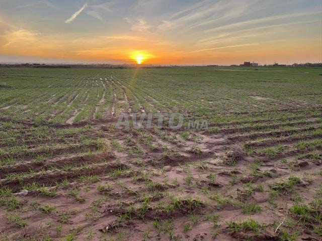 أرض للبيع - طريق أمزميز