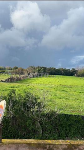 Échange ou vente terrain agricole de 1500 m2