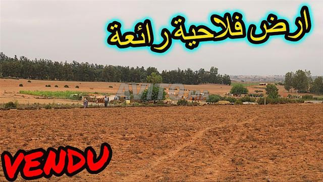 أرض 1.5 هـ، رسم الشرافات حكامة