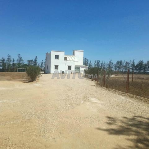 Ferme à vendre à Berrechid