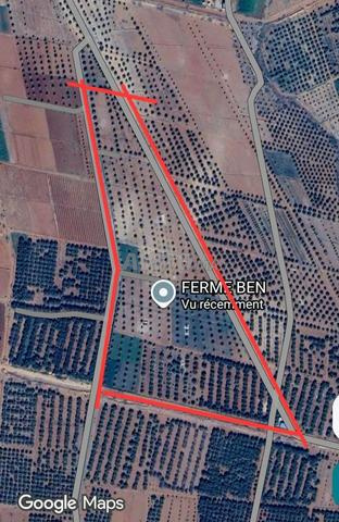 Terrain agricole à vendre - 6 hectares