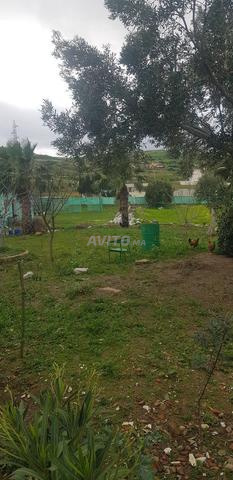 بيت و أرض للبيع على شارع رئيسي.