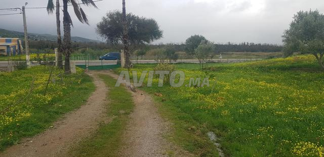 بيت و أرض للبيع على شارع رئيسي.