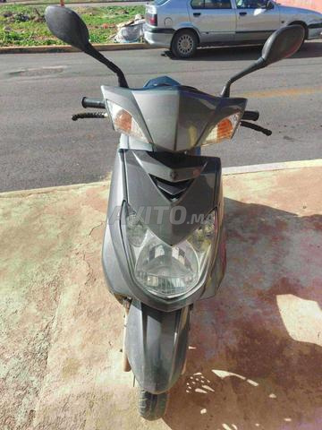 سيغنوس نقية تحتاج بعض الإصلاحات صفيحة صغيرة