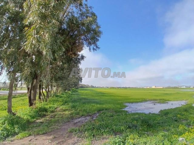 أرض قروية محفظة، الجديدة، جماعة أولاد بوعزيز