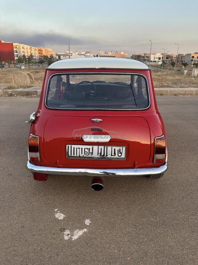 Mini Austin 