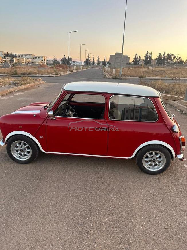 Mini Austin 