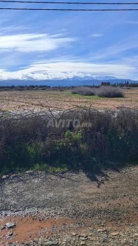 أرض موثقة للبيع طريق أوريكا مراكش