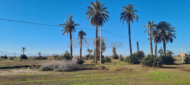 Vente Terrain nu de 22000 m2 à Marrakech