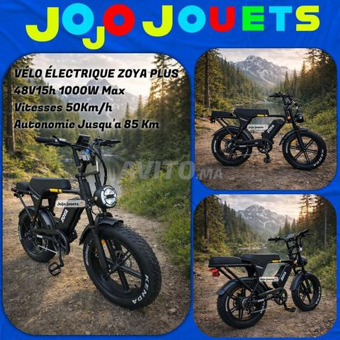 Vélo Électrique ZOYA PLUS 1000W Max Ecoxtrem