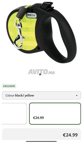 Laisse chien Onione original 5m