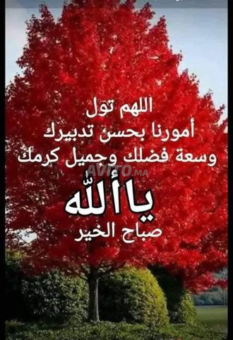 Colocation pour fille بنت تزاد معاية فالكراء