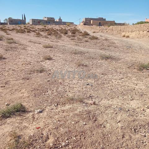 بوقع أرضية ملكية جات قريبا لكولشي - 2