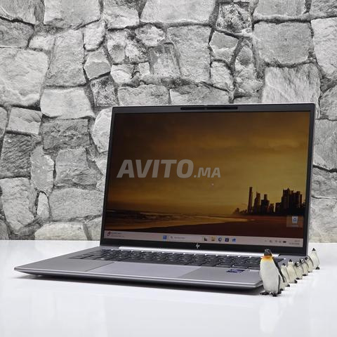 HP ZBook FireFly 14 G10 / i7 13eme génération