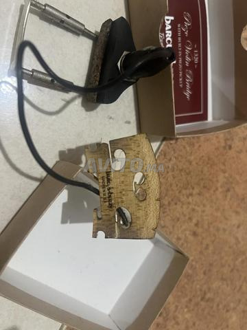 Chovali barcus berry